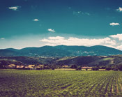 自动攻击网站工具下载